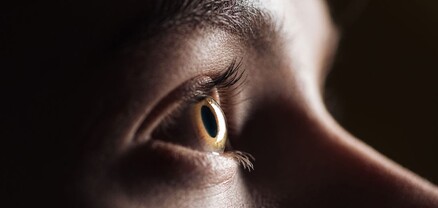 Գիտնականները պարզել են, թե ինչպես կարելի է աչքերի միջոցով ախտորոշել աուտիզմը