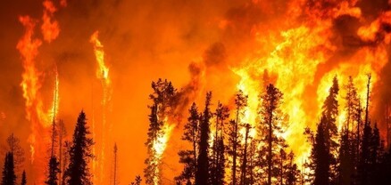 Սիբիրում և Հեռավոր Արևելքում ավելի քան մեկ միլիոն հեկտար անտառ է այրվել