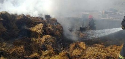Սարակապ գյուղում այրվել է մոտ 310 հակ անասնակեր