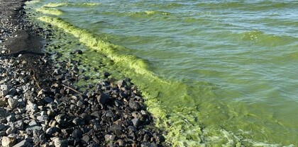 Ծփում է կանաչը. մի դժբախտ ու դժգույն լճի պատմություն