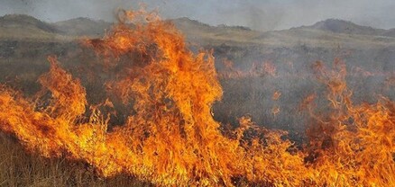 Ֆանտան գյուղում այրվում է անասնակեր