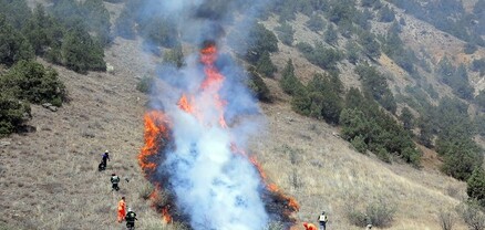 Խոսրովի արգելոցում ուսումնական վարժանքը վերածվել է հրդեհի․ այրվել է մոտ 3000 քմ անտառածածկ տարածք