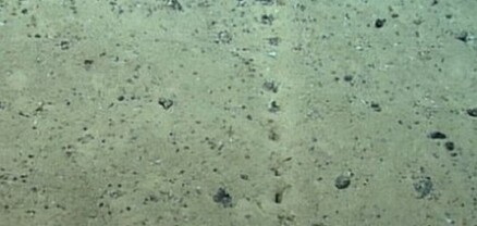 Ատլանտյան օվկիանոսի հատակին անհասկանալի ծագման խորշեր են հայտնաբերվել