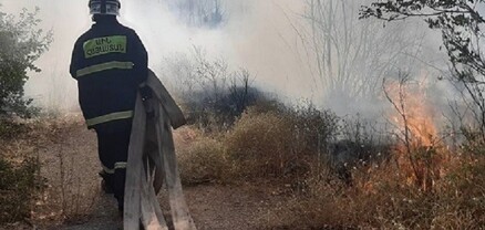 Բուսաբանական այգում բռնկված հրդեհը մարվել է. այրվել է մոտ 8000 քառակուսի մետր խոտածածկույթ