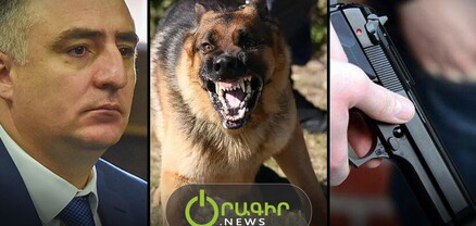 Հակակոռուպցիոն կոմիտեի աշխատողներին զենք կրելու, ուժ գործադրելու և շներ օգտագործելու իրավունք կտան