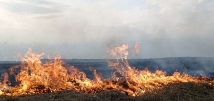Հրդեհ Նալբանդյան գյուղում․ այրվել է մոտ 150 հակ անասնակեր