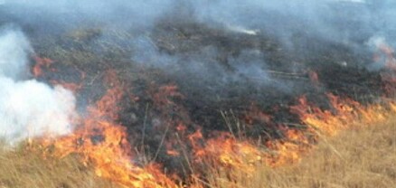 Տավուշի Սևքար գյուղում այրվել է մոտ 30 հա խոտածածկույթ․ ԱԻՆ