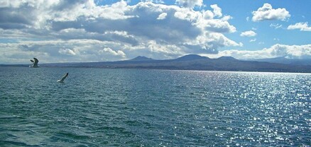 Ջրափրկարարները ափին են մոտեցրել երկու քաղաքացու