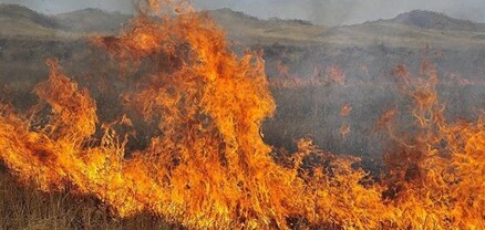 Լճաշեն գյուղի հարակից դաշտերում այրվել է մոտ 80 հա խոտածածկույթ