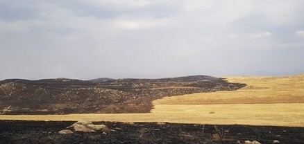 Սյունիքի Խոտ գյուղում այրվել է մոտ 17 հա հնձած արտ