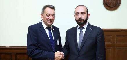 Միրզոյանը Կարմիր խաչի նախագահին է ներկայացրել ՀՀ ինքնիշխանության դեմ Ադրբեջանի ագրեսիայի հետևանքները