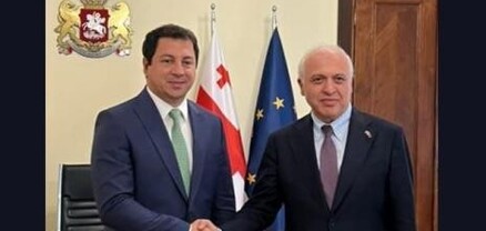 ՀՀ դեսպանը հանդիպել է Վրաստանի խորհրդարանի նախագահի տեղակալին