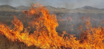 Հրդեհ Կապան քաղաքում. այրվել է մոտ 35 հա խոտածածկույթ