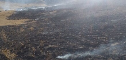 Ջրափի գյուղում այրվել է 20 հա խոտածածկույթ և 10 հա ցորենի հնձած արտ