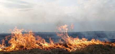 Սայաթ-Նովա գյուղում այրվել է 230 հակ անասնակեր
