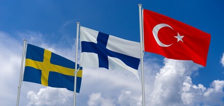 Թուրքիայում Շվեդիայի դեսպանին ԱԳՆ են կանչել Էրդողանին վիրավորող նկարների համար