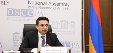 Ալեն Սիմոնյանը ելույթ է ունեցել ԵԱՀԿ ԽՎ երիտասարդ պատգամավորների նիստում