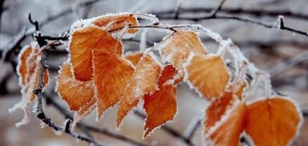 Օդի ջերմաստիճանը կրկին կնվազի
