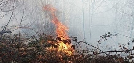 Վահագնաձոր գյուղի հարակից անտառում երկու օր առաջ բռնկված հրդեհը դեռ չի մարվել