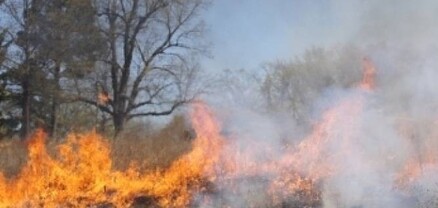 Դիլիջանի ազգային պարկում այրվում է մոտ 10 հա խոտածածկույթ