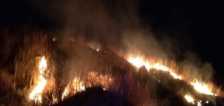 Հրդեհ Մեղրաձոր գյուղի անտառում. այրվել է 5000 քմ տարածք