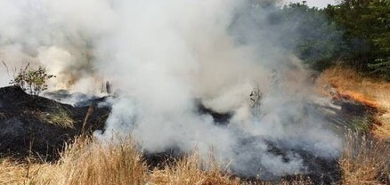Վանաձորի մոտ այրվել է մոտ 12 հա խոտածածկույթ