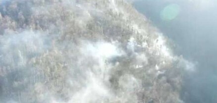 Հրշեջ-փրկարարները մարել են Տավուշի մարզի «Ճապկուտ» կոչվող հանդամասում բռնկված հրդեհը