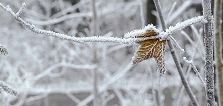 Օդի ջերմաստիճանը, բացառությամբ Արարատյան դաշտի և Երևանի, կբարձրանա 3-5 աստիճանով