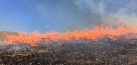 Գեղարքունիքի մարզի Թթուջուր գյուղի մոտ այրվել է մոտ 3 հա խոտածածկույթ