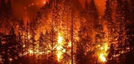 Չիլիում անտառային հրդեհները մեկ օրում առնվազն 13 մարդու կյանք են խլել