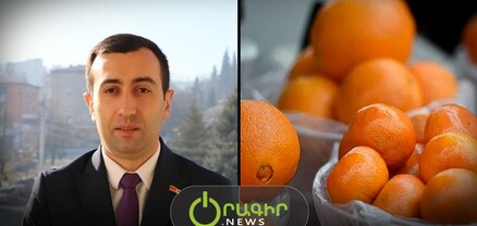 Կյանքի ինչ-որ ճանապարհներ կան, որ թույլ են տալիս սովամահ չլինել. ինչպես են նարինջն ու մանդարինը հասել Արցախ