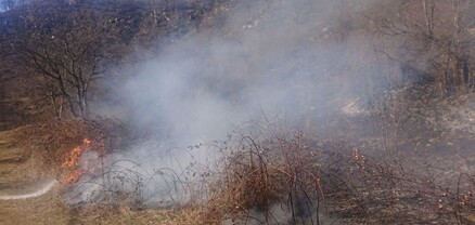 Ծավ գյուղի անտառում այրվել է մոտ 4 հա բուսածածկույթ
