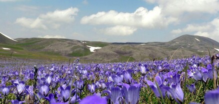 Եղանակը Հայաստանում