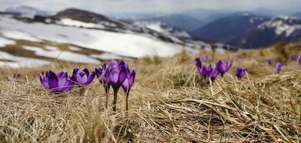 Եղանակը Հայաստանում