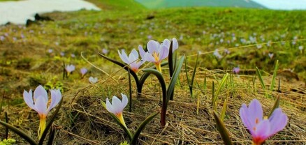 Օդի ջերմաստիճանը կբարձրանա