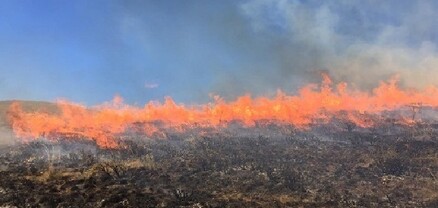 Տավուշի մարզում այրվել է մոտ 10 հա խոտածածկույթ