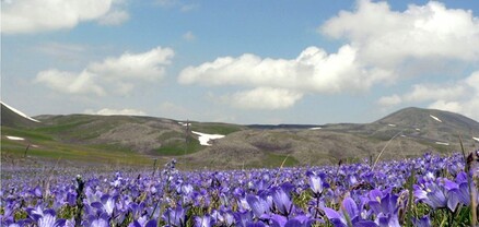 Եղանակը Հայաստանում