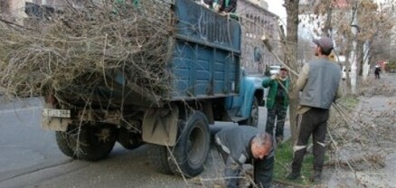 Մայրաքաղաքում մեկնարկել է ծառերի գարնանային էտը