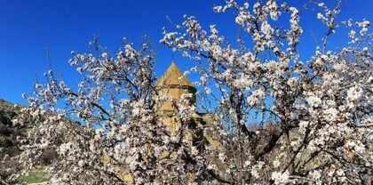 Օդի ջերմաստիճանը մինչ ապրիլի 6-ը աստիճանաբար կբարձրանա 13-16 աստիճանով