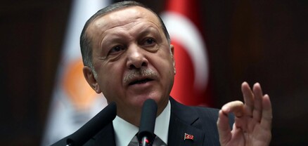 Էրդողանը դատապարտել է Գերմանիայում թուրք լրագրողների ձերբակալությունը և այն որակել մամուլի ազատության խախտում