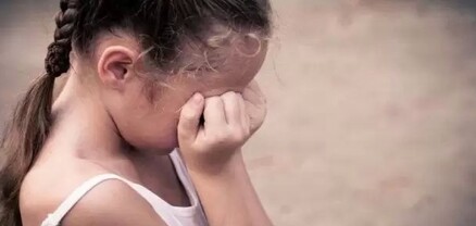 Դպրոցի բակում փորձել են սեռական բնույթի բռնի գործողություն կատարել 9-ամյա աղջկա նկատմամբ․ shamshyan.com