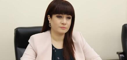 Նազելիի նազանքով վայրէջքը․ մարզպետից՝ խոսնակ
