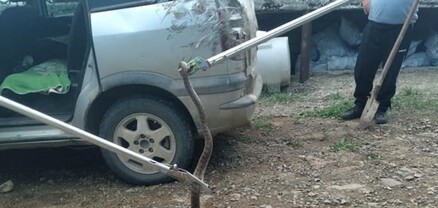 Ասկերանի շրջանի Այգեստան համայնքի խաչմերուկում ավտոմեքենայի մեջ օձ է հայտնվել