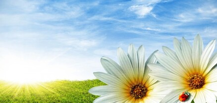 Օդի ջերմաստիճանը կնվազի 2-4 աստիճանով