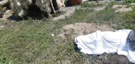 Արագածոտնի մարզում կինը գորգ լվանալիս հոսանքահարվել ու մահացել է․ shamshyan.com
