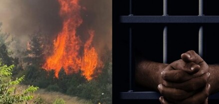 Վերջին 10 օրում Թուրքիայում 203 անտառային հրդեհ է բռնկվել