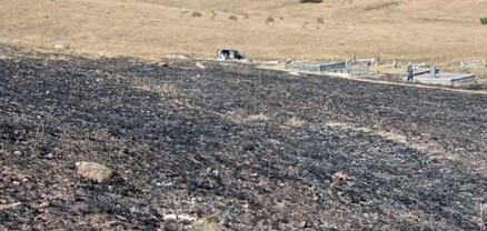 Այրվել է մոտ 10 հա խոտածածկույթ