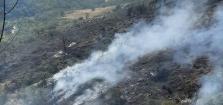 Ներքին Հանդի հրդեհը մարվել է