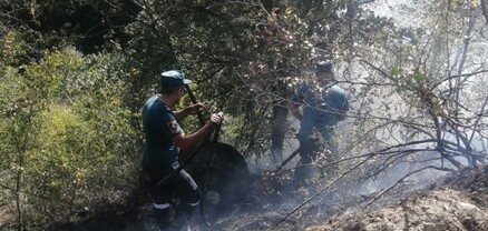 Ծավ գյուղում բուսածածկ տարածք է այրվել