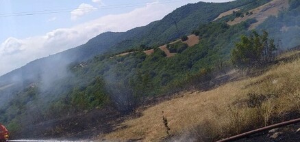 Արագածոտնի Նորաշեն գյուղում այրվել է մոտ 30 հա խոտածածկույթ